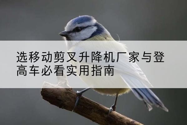 三穗电动升降机厂家-选移动剪叉升降机厂家与登高车必看实用指南