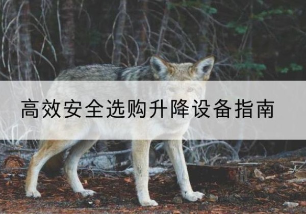 三穗升降货梯厂家推荐-*安全选购升降设备指南